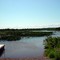 Ashland WI marsh