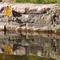 Reflection