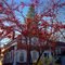 Winthrop St. Augusta, Maine.