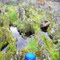 Rocky Vernal Pool, Coon Creek riparian area, Hidden Falls Regional Park, Placer County
