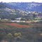 Wine country & valley