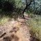 River Otter Loop Trail, 1.39-miles, Hidden Falls Regional Park, Placer County, California