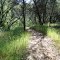River Otter Loop Trail, 1.39-miles, Hidden Falls Regional Park, Placer County, California