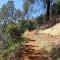 River Otter Loop Trail, 1.39-miles, Hidden Falls Regional Park, Placer County, California
