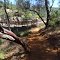 Lateral Connector Trail to Hidden Falls, 100-yards long, Hidden Falls Regional Park, Placer County, California