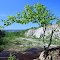 Rib Mountain State Park
