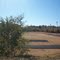 Alva Football Field
