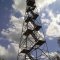 Fire Tower State Game Lands 91