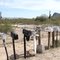 Picture Rocks, Mailboxes, 2010-04-02