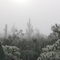 Rare dense fog in the Sonoran Desert