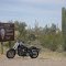 Saguaro National Park, Tucson, Arizona