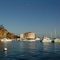 Catalina Island I