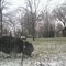 the first snow of winter 2007-08