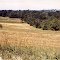 Farm of Henry Whitmer 1860s
