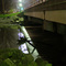 Hamilton Street Dam