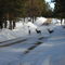 Deer crossing the street.