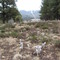 Spring in Angel Fire