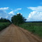 Jeff Davis County Dirt Road