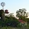 Windmill, Towns, GA