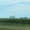 Grain Elevator
