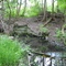 Inlet into the canal