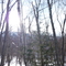Sugarloaf through the trees at the bottom of Moose Alley