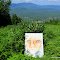 "Behind the Brothers Karamazov" at Sugarloaf Mountain.