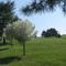 Blacksburg Golf Course