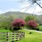 North Fork Farms Rd off Catawba Rd