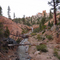 Waterfall, Mossy Creek Trail, September 2001