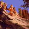 Bryce Canyon Summer-Ut