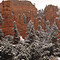 Brice Canyon NP (Wintereinbruch)