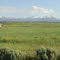 Abajo Mountains from junction UT 95 & US 191