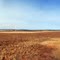Field on Brown's Canyon Road