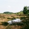 Wisconsin Paradise