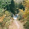 Lumberjack Trail