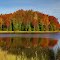 Fall Splendor