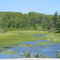 Rice Creek, Vilas Co. WI