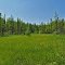 Rice Creek Fen