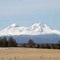 Three Sisters from Swalley Road