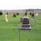 ST Paul's Cemetery