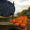 Pumpkin Farm