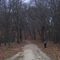 Battle Road