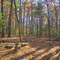 Fall Colors at Minute Man NHP