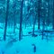 Deer hunting 2008