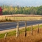 Thumb Lake Road