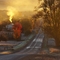 Golden Morning - Near Boyne Falls, MI