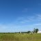 farm view