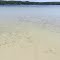 Really shallow (Deer Lake, Boyne City, MI)