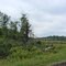 Keating, PA